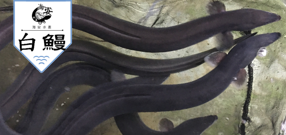 餐廳批發 – 海安水產